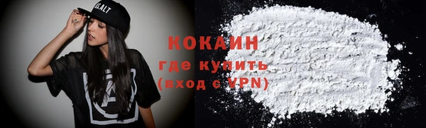 индика Козельск