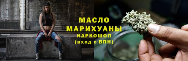 индика Козельск
