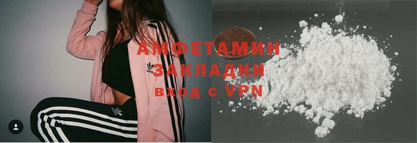 индика Козельск