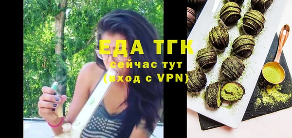индика Козельск
