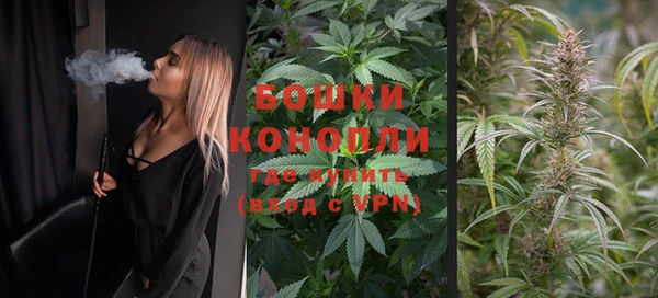 индика Козельск