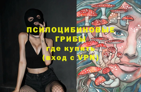 индика Козельск