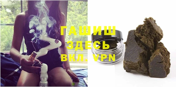 индика Козельск