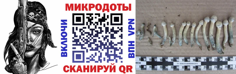 Псилоцибиновые грибы мухоморы  Купить  Ишимбай 