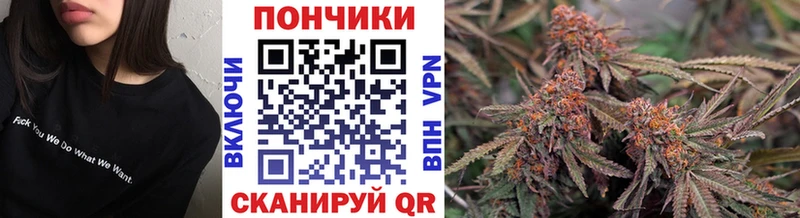 Купить где  Ишимбай  Канабис план 